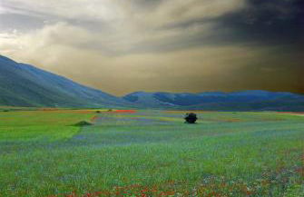 Agriturismo Roccagelli - Photo 52