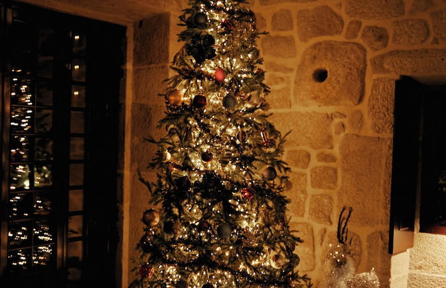 Vinte-Quinta da Boavista - Photo 47