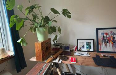 4 PEEPS Apt INWILLIAMSBURG - Foto 8