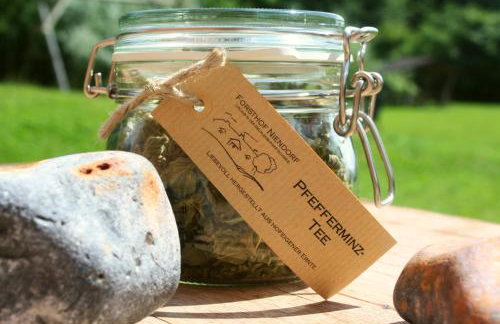 Forsthof Niendorf - Foto 23