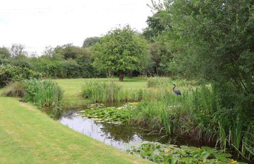 Pringles Orchard - Photo 41