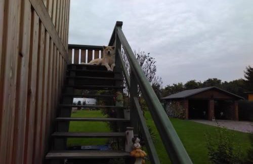 Ferienhaus Stadio - Foto 19