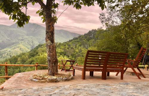 Vicinato Homestead - Foto 4