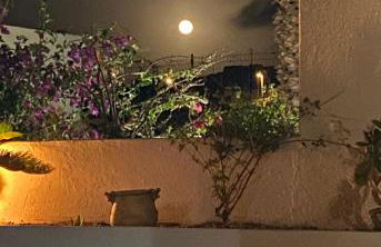 El Sagiri un'oasi nel Mediterraneo - Foto 25