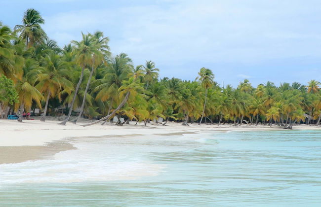 Excursión a isla Saona en catamarán - Foto 8