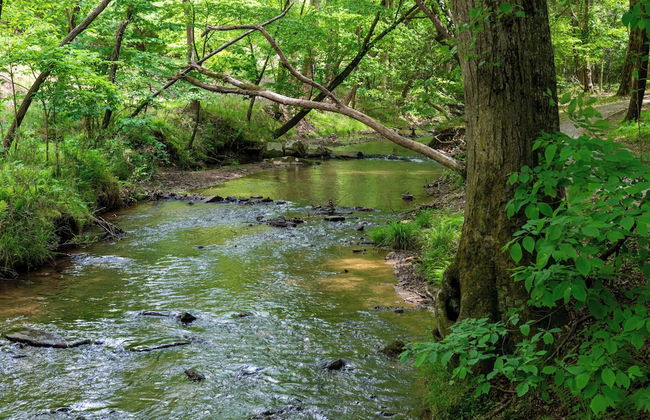 Buck Valley Lodge Mountain Getaway! - Foto 32