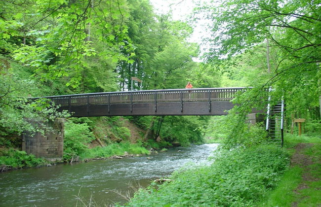 Cozy Apartment in Wilsecker near Forest - Photo 19