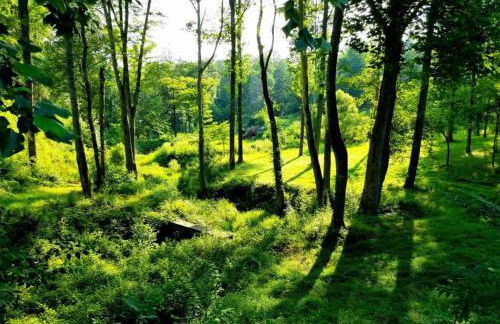 Cascina Rococo at White Lotus Eco Spa Retreat - Foto 25