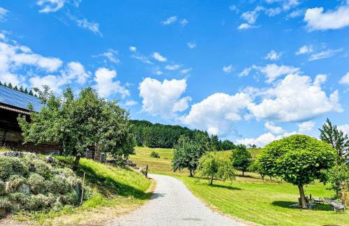 Apartment Kinast - HFT202 by Interhome - Foto 73