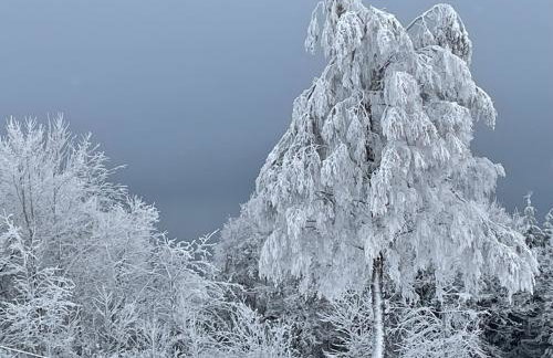 Haus Aktiv Top2 - Foto 30