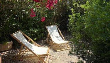 Petite maison cocooning classée 3 étoiles à Bormes les mimosas - Foto 3, Garden