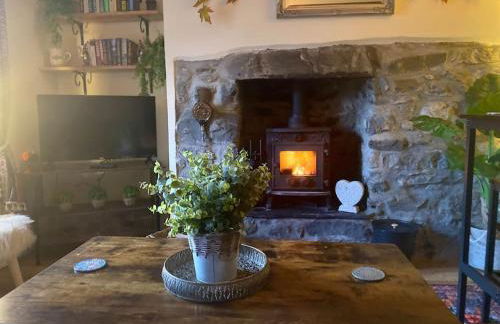 Maytree Cottage. Compact home in Mid Wales. - Foto 9