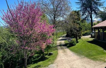 Domaine de Montfort - Foto 63