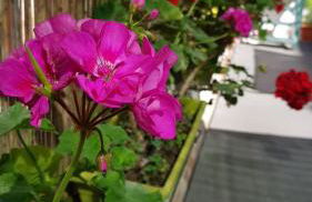 Estudio Maignon - Foto 24