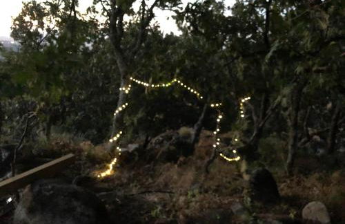 Vuelos de Montaña l - Foto 44