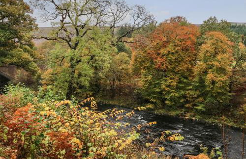 4 River Court - Photo 13