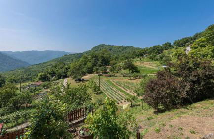 Casa Bandoni - Foto 14