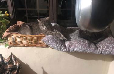 Il Borghetto di Carra - Foto 71