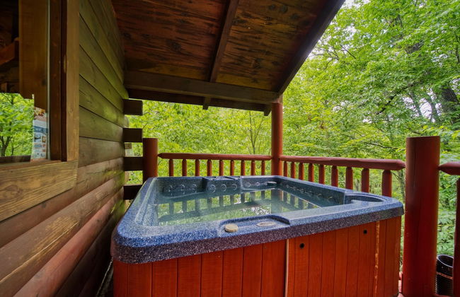 Mountain Laurel - Foto 19