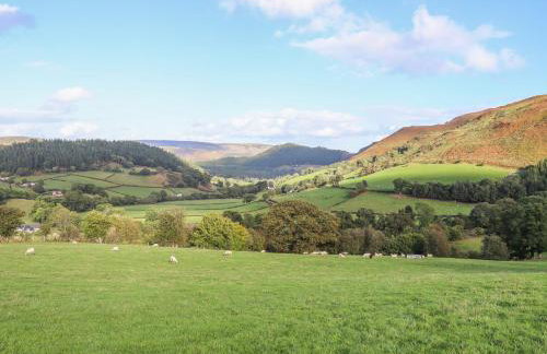 Tyn Llwyn Barn - Foto 57