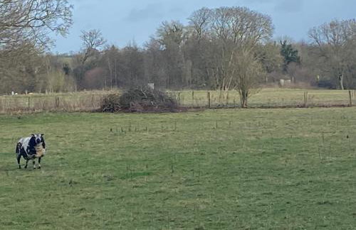 A charming cottage in a beautiful setting. - Foto 11