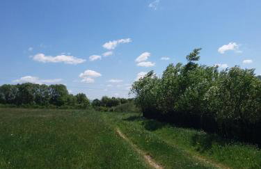 Blisko Lasu - Foto 61