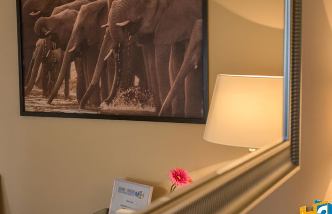 Parras Comfort - Photo 14