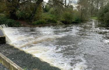 The Carriage House - Foto 61