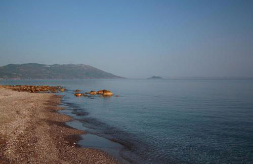 White Rock Apartments - Foto 44