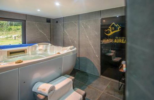 Lovely Home In Novo Zvecevo With Sauna - Foto 30