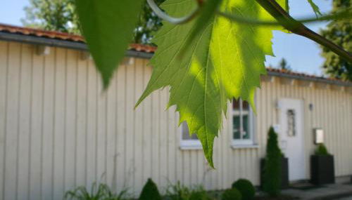 Gästehaus Gaumenflug am See - Foto 3