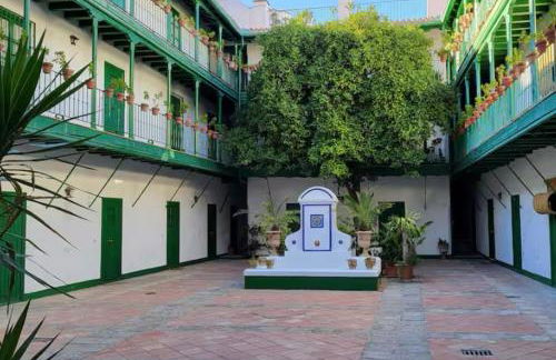 Coliseo setas - Foto 1