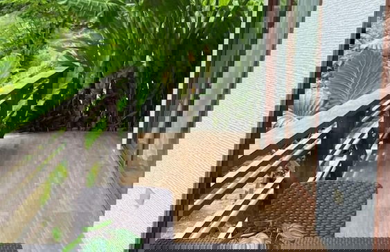 La Fuga Siargao - Photo 13