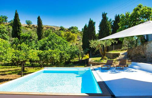 Monte Alecrim - Foto 37