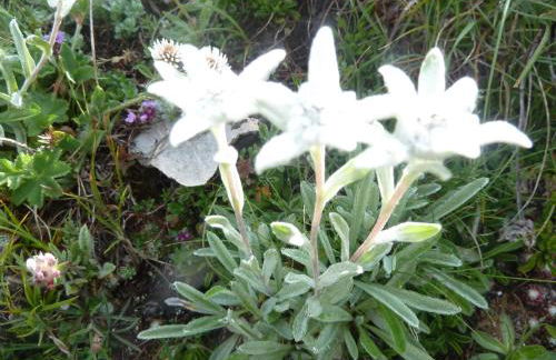 Appartement Barcelonnette Ubaye, Provence - Foto 25