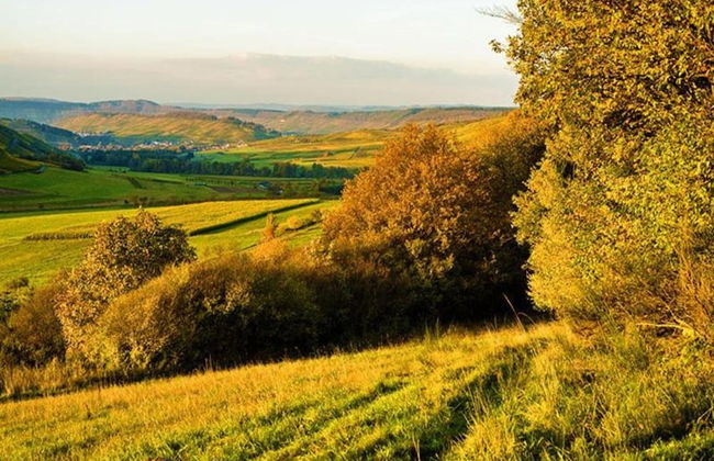 Apartment in Veldenz With Balcony - Foto 25