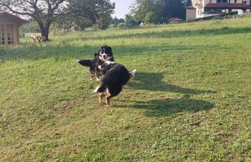 Appartamenti DOLOMITI - Foto 67