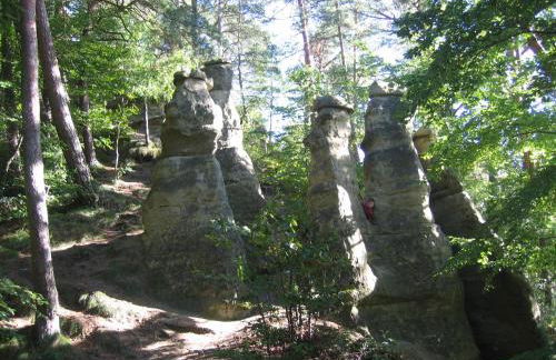 REBHAUS Ferienwohnung Weinlaube - Foto 25