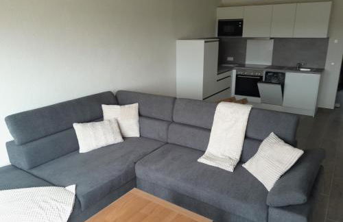 Bauernhof Schäfer - Foto 3