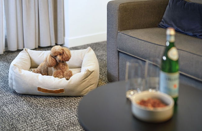 Quest Robina - Photo 33