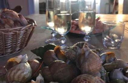 L'Eglantine bord de mer - Foto 27