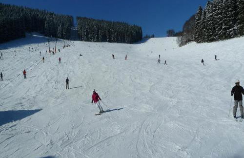 Chalet in Schmallenberg Nahe Winterberg Ski - Foto 30