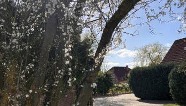 Harmonie im Grünen-Erdgeschoss-Ferienwohnung mit eigenem Eingang und direktem Gartenzugang - Foto 5, Garden