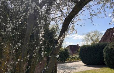 Harmonie im Grünen-Erdgeschoss-Ferienwohnung mit eigenem Eingang und direktem Gartenzugang - Photo 5
