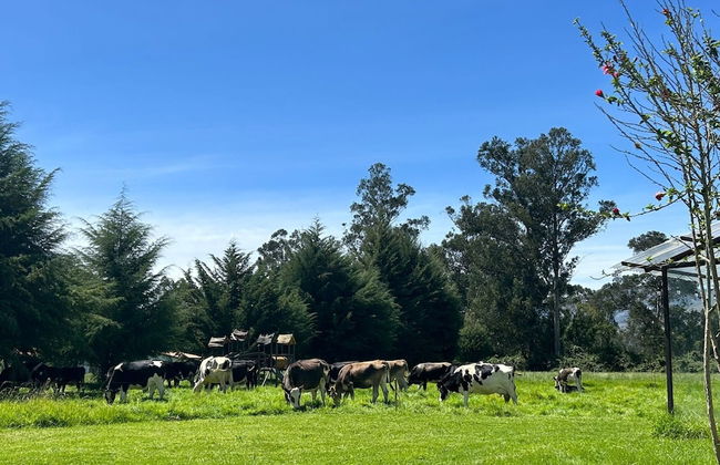 Loft Del Fundo Del Abuelo - Foto 10