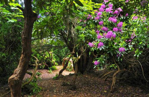 Coul House Hotel - Foto 65