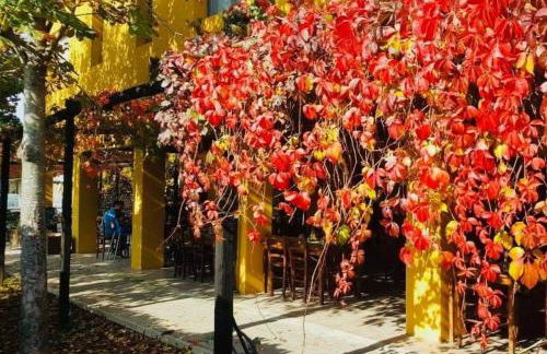 Cascina Bosco Gerolo - Foto 15