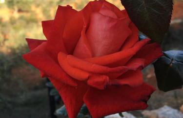 Casa De Madera, A home from home. - Foto 19