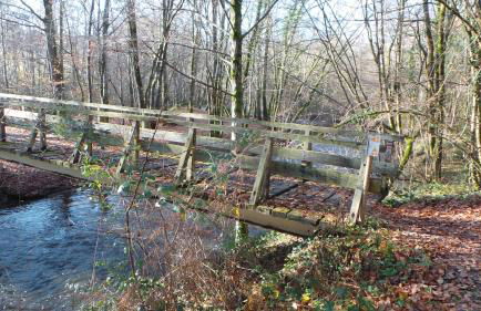 la petite fontaine - Foto 19