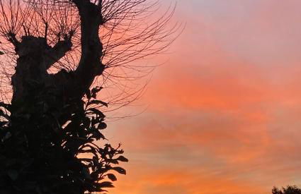 Quetzal, Clim, jardin et parking - Photo 22